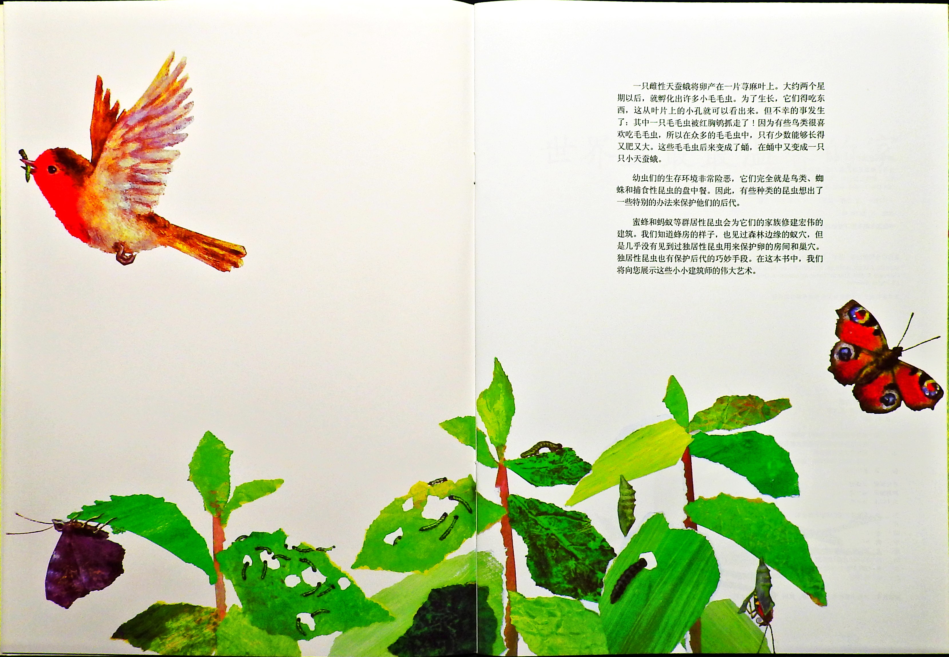 世界上最最温馨的家 (02),绘本,绘本故事,绘本阅读,故事书,童书,图画书,课外阅读